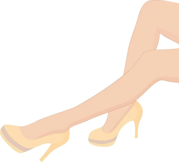 Kadın Bacakları Renkli Vektör Çizimi — Stok Vektör