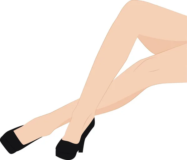 Kadın Bacakları Renkli Vektör Çizimi — Stok Vektör