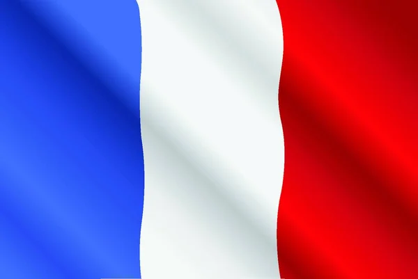 Frankrike Flagga Färgglada Vektor Illustration — Stock vektor