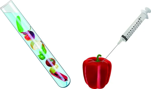 Moleküler Gastronomi Renkli Vektör Çizimi — Stok Vektör