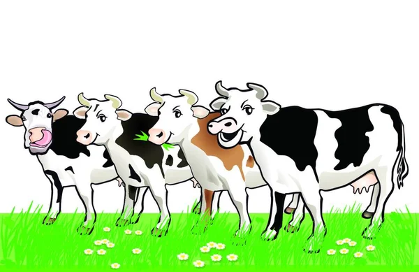 Πολύχρωμη Διανυσματική Απεικόνιση Τεσσάρων Ευτυχισμένων Αγελάδων — Διανυσματικό Αρχείο