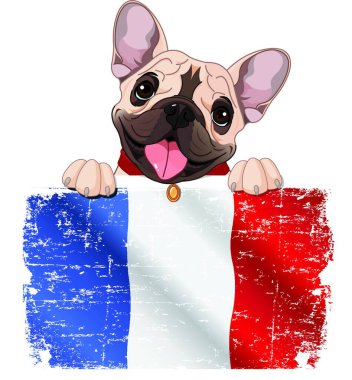 Fransız bulldog fan vektör illüstrasyonu