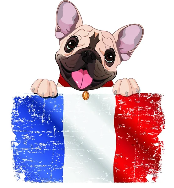 Illustrazione Vettoriale Fan Bulldog Francese — Vettoriale Stock