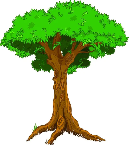 Görkemli Ağaç Çizimi — Stok Vektör