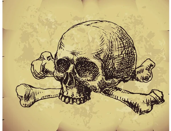 Hand Drawn Skull Grange Background — Stok Vektör