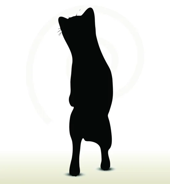 Cat Silhouette Graphic Vector Illustration — Stock Vector