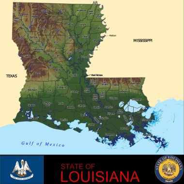 Louisiana Counties haritası, grafik vektör illüstrasyonu 