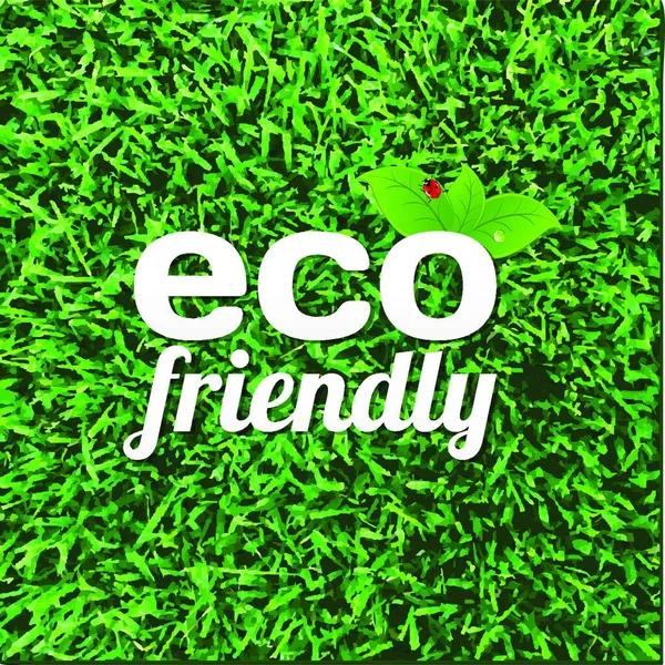 Eco Friendly Poster Icono Plano Ilustración Vectorial — Vector de stock