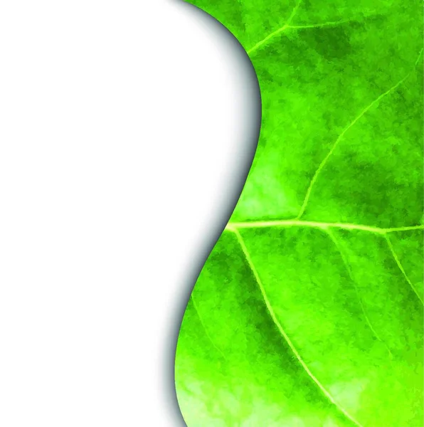 Leaf Poster Icono Plano Ilustración Vectorial — Vector de stock