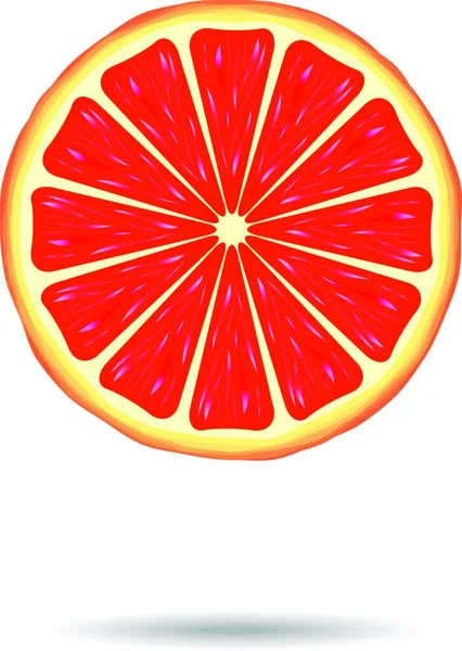 Grapefruitový Plátek Plochá Ikona Vektorová Ilustrace — Stockový vektor