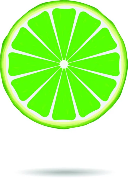 Lime Slice Flaches Symbol Vektorillustration — Stockvektor