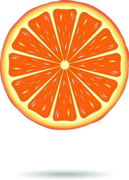 Orange Skiva Platt Ikon Vektor Illustration — Stock vektor