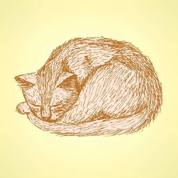 Sketch Sleeping Cat Vintage Style — Stock Vector