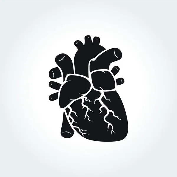 Corazón Símbolo Anatomía Vector Ilustración Diseño Simple — Vector de stock