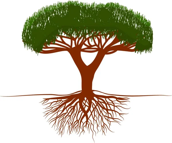 Дерево Корнями Векторная Иллюстрация Простая Конструкция — стоковый вектор