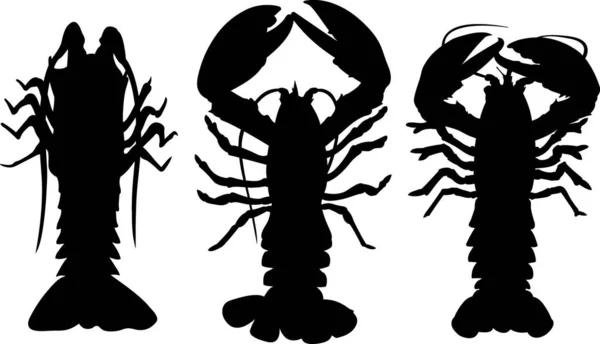 Ilustrasi Lobster - Stok Vektor
