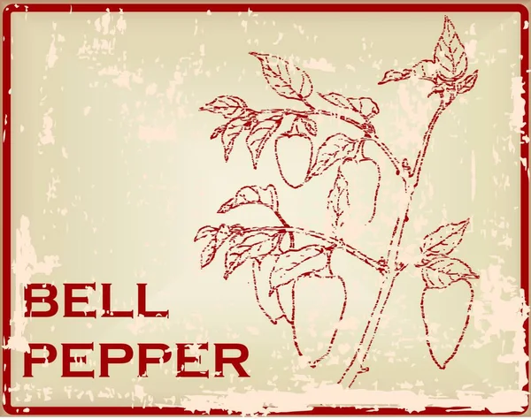 Απεικόνιση Του Πιπεριού Bell — Διανυσματικό Αρχείο