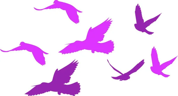 Kuş Siluetleri Vektör Çizimi — Stok Vektör