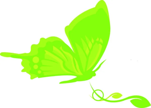Vlinder Met Vleugels Illustratie Van Creatieve Kunst — Stockvector