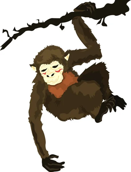 Macaco Web Ícone Simples Ilustração —  Vetores de Stock