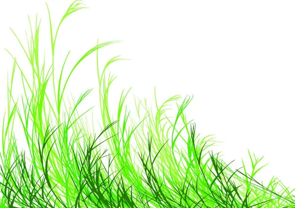 草の背景 ベクトル イラスト シンプルなデザイン — ストックベクタ