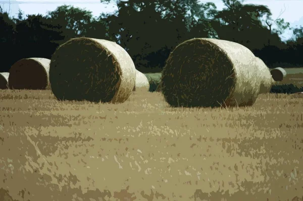 Grosses Balles Rondes Dans Les Terres Agricoles Rurales — Image vectorielle