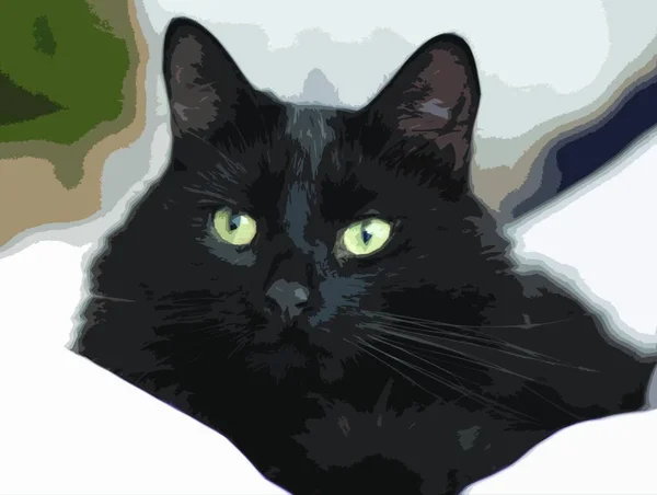 Красивая Длинноволосая Черная Кошка — стоковый вектор