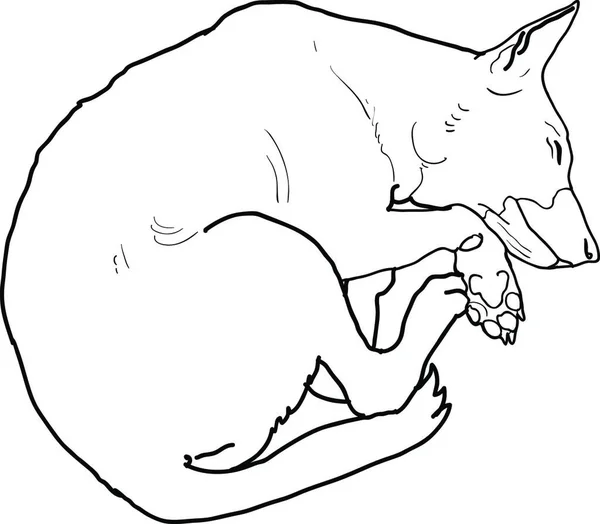 Slapen Hond Vector Illustratie — Stockvector