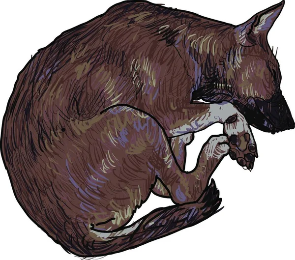 Ilustrasi Vektor Anjing Tidur - Stok Vektor