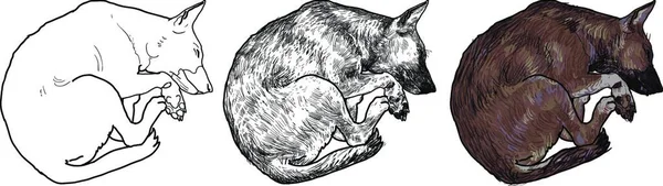 犬ぞり カラフルなベクトルイラスト — ストックベクタ