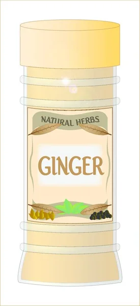 Ginger Spice Vector Illustration — Stock Vector