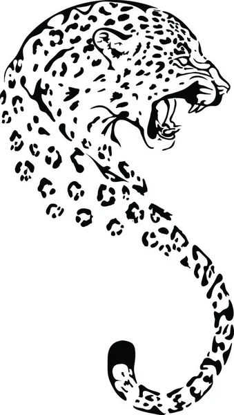 Gepard Baş Siluet Vektör Çizimi — Stok Vektör