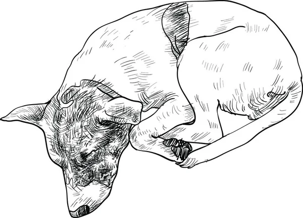 Спляча Собака Векторні Ілюстрації Простий Дизайн — стоковий вектор