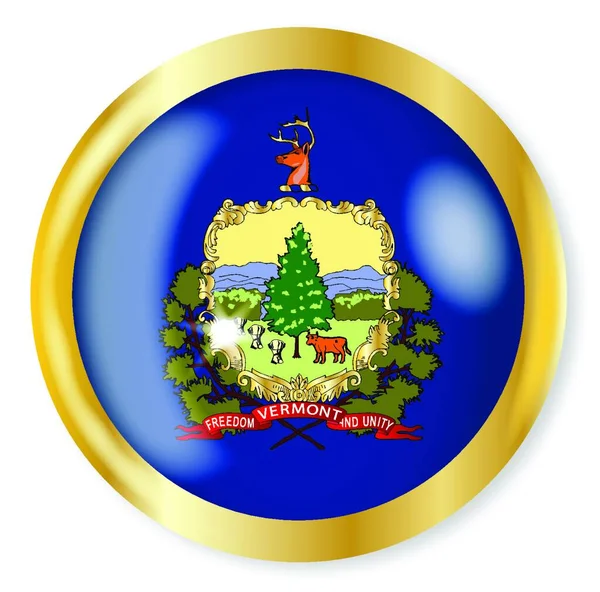 Vermont Flag Button Vektorillustration Einfaches Design — Stockvektor