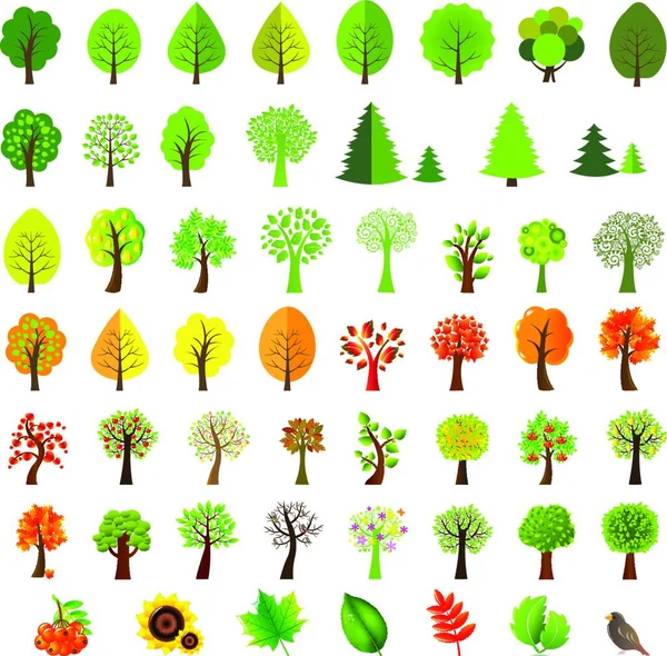 Большой Набор Деревьев Векторная Иллюстрация Простой Дизайн — стоковый вектор
