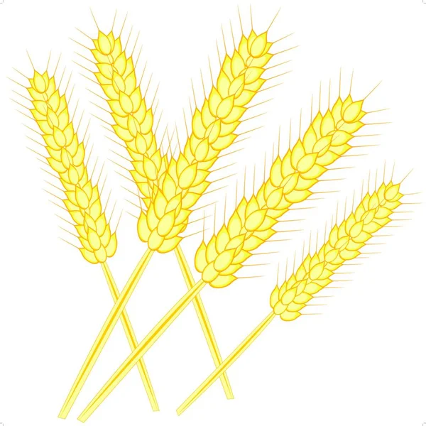 Иллюстрация Уха Пшеницы — стоковый вектор