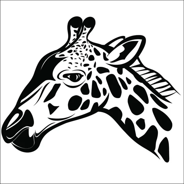 Illustration Tête Girafe — Image vectorielle