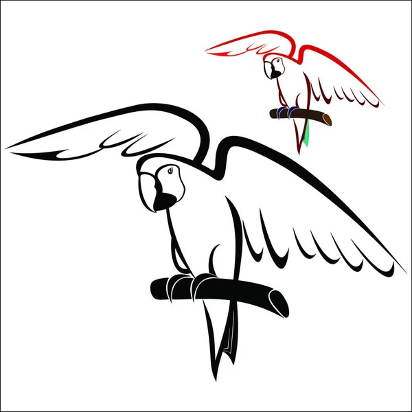 Illustration Des Papageien Auf Zweig — Stockvektor