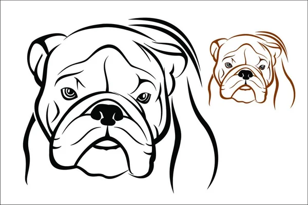 English Bulldog Vector Illustration Simple Design — Stock Vector