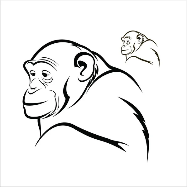 Chimpanzee Διανυσματική Απεικόνιση Απλό Σχέδιο — Διανυσματικό Αρχείο