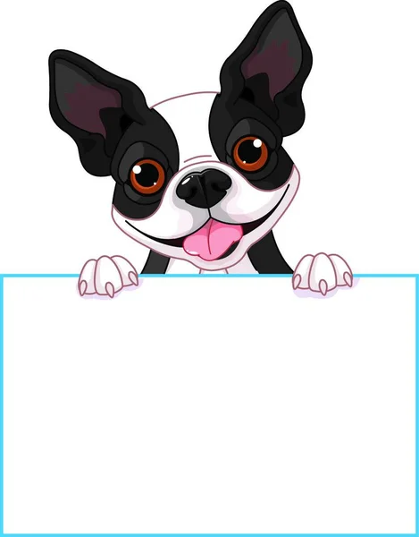 Boston Terrier Σημάδι Διανυσματική Απεικόνιση Απλό Σχέδιο — Διανυσματικό Αρχείο