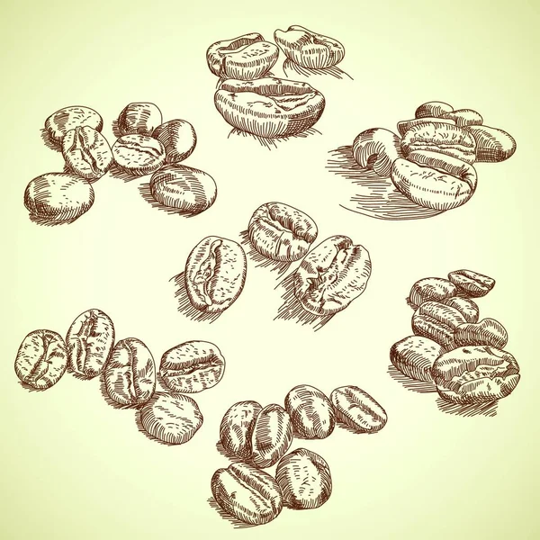 Coffee Beans Drawing Vector Illustration Simple Design — Stock Vector