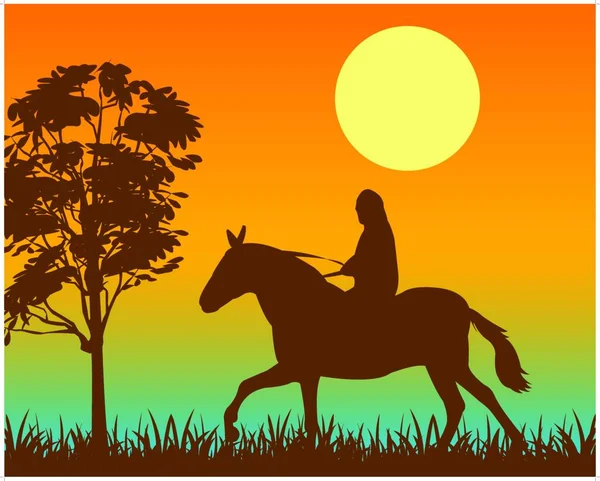 Horseman Horse Graphic Vector Illustration — Stock Vector
