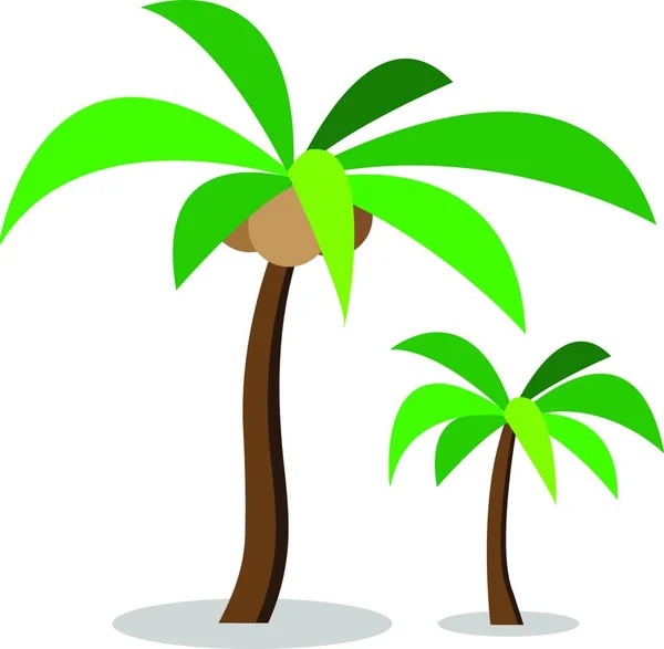 两棵椰子树 带有椰子 图形矢量图解 — 图库矢量图片