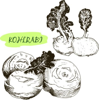 Kohlraby 'nin tasviri 