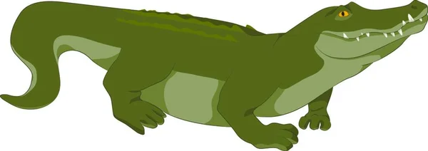 Krokodýl Grafická Vektorová Ilustrace — Stockový vektor