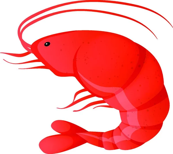 Vektorová Ikona Červené Krevety — Stockový vektor