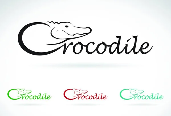 Vector Design Crocodile Text White Background — Stock Vector