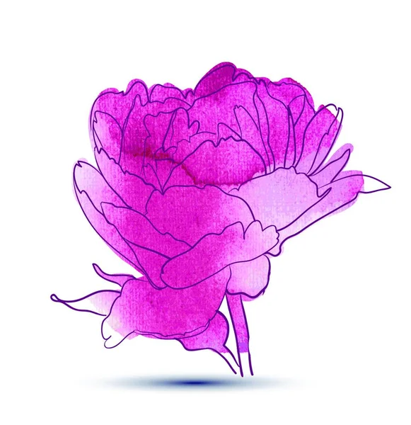 Pivoine Pétales Fleur Dessin Illustration Fond Pour Espace Copie — Image vectorielle