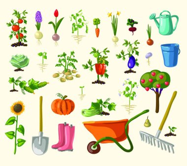 Bahçe ikonu seti, vektör illüstrasyonu